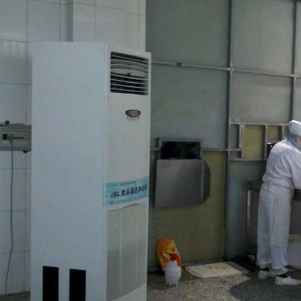 安阳食品正负离子空气杀菌器